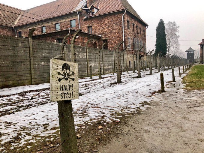 Ostrov_A's tweet photo. As we mark Yom HaShoah, we must never forget that the Holocaust did not begin with the gas chambers and crematoriums at Auschwitz.

It began with words, with lies, with the demonization of Jews and the indifference of decent people. Today, however, it is not only Jews, but the Jewish state that is being singled out and vilified.

Remembrance, while imperative, is not enough alone. This day must challenge us to confront antisemitism wherever - and however - it appears, whether on the streets of Bondi or Melbourne, in Europe or America, at international institutions, in the media and online, or that which is disguised as political respectability under veneer of ‘anti-Zionism’.

To remember the Holocaust is to honor the victims by defending the living, telling the truth, and refusing silence in the face of hatred.