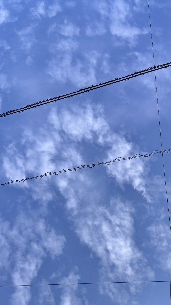 せれす12.20,21 三者三羊 tweet media