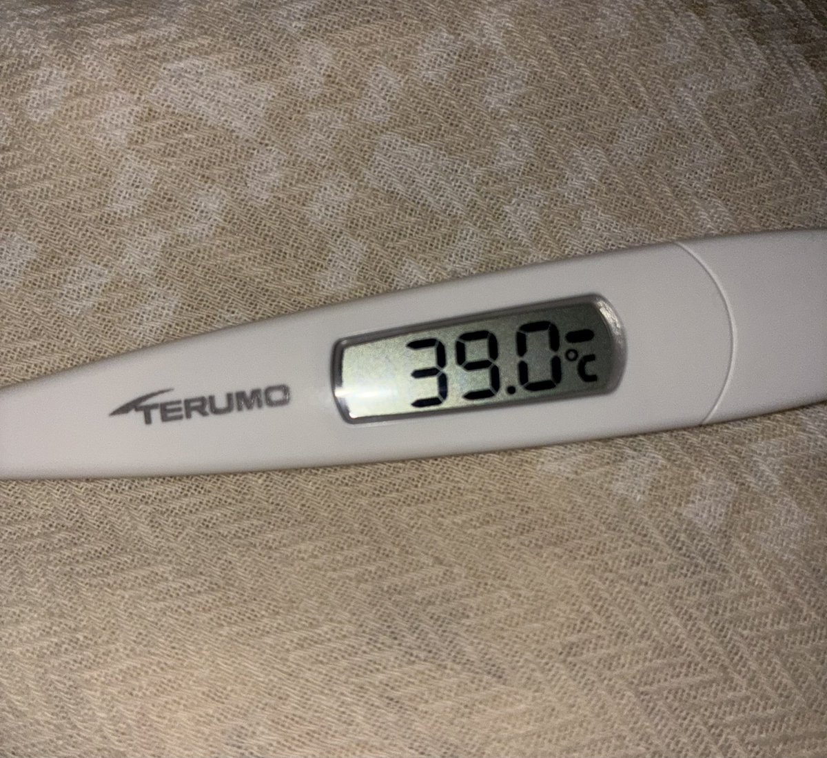 yoo-syoku tweet media