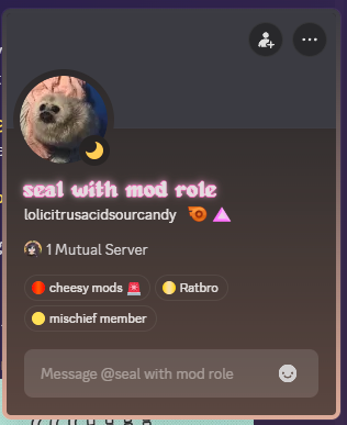 Multi ⚒️ tweet media