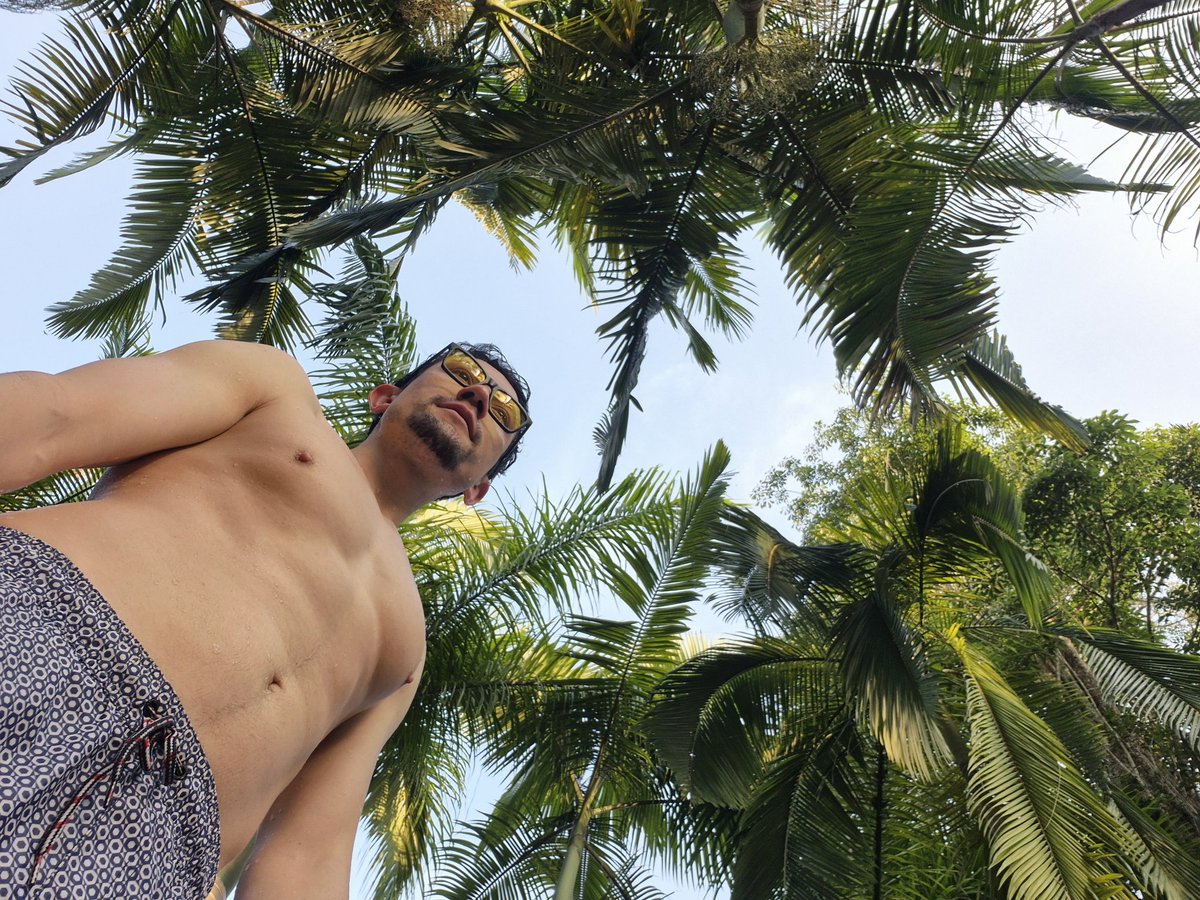 🔥TU DAVID tweet media