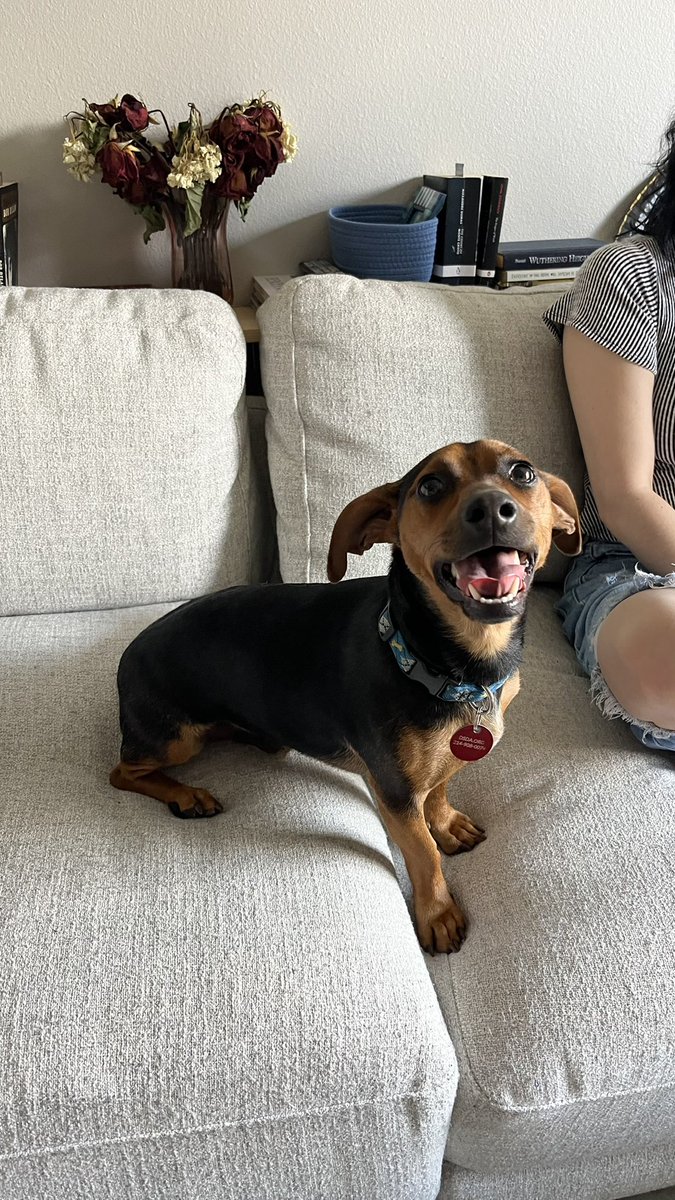 𝖈𝖔𝖗𝖗𝖎 ⏾⋆ tweet media