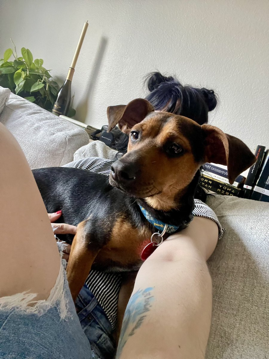 𝖈𝖔𝖗𝖗𝖎 ⏾⋆ tweet media