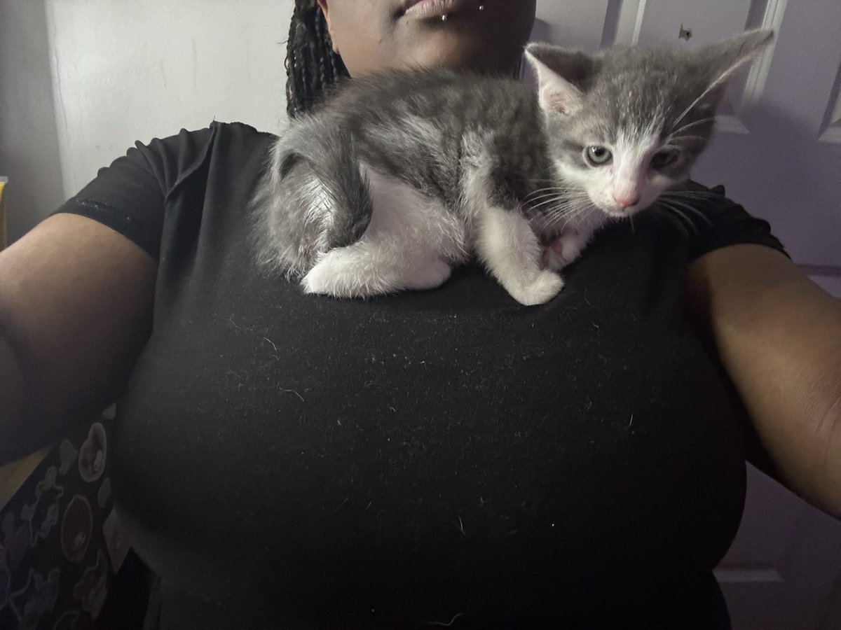 mommy tweet media