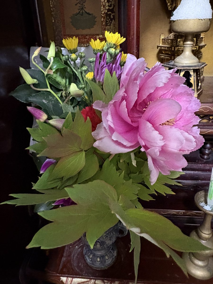 Takeching (しらいし たけし)@作曲クリエイター/ギタリスト tweet media