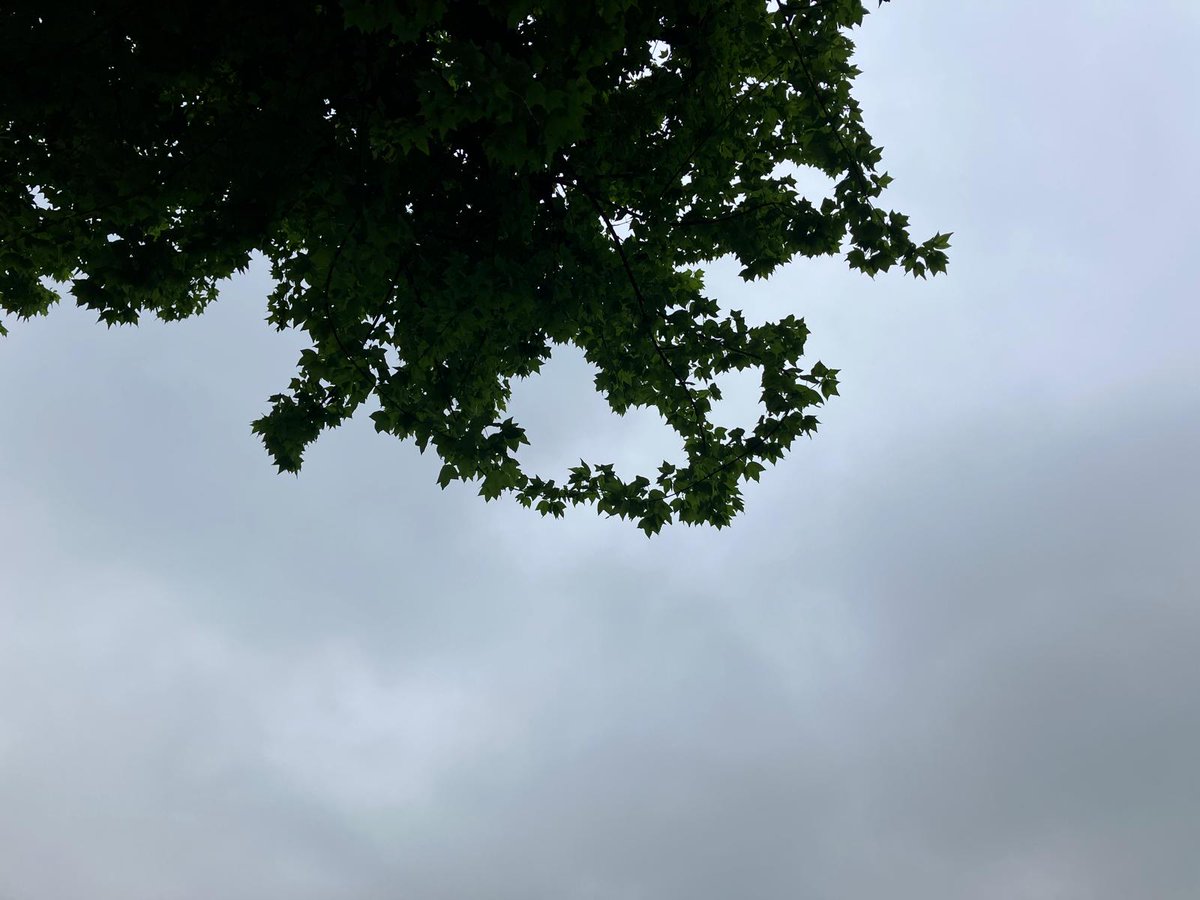 おはようございますーす！☺
天気が悪くてさむ・・・くない・・・！👀

やっと暖かくなってまいりましたね💛
いや、これから暑く・・・？
春はすぐすぎていっちゃいますね😢

今をしっかりかみしめていきましょう(*^▽^*)
 #企業公式が毎朝地元の天気を言い合う