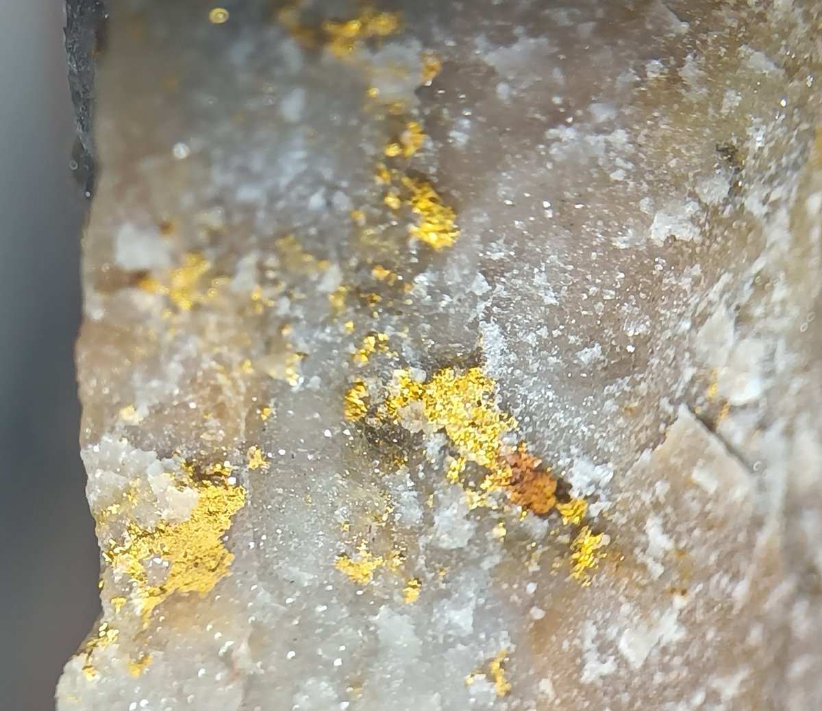 月亭ペン太 tweet media