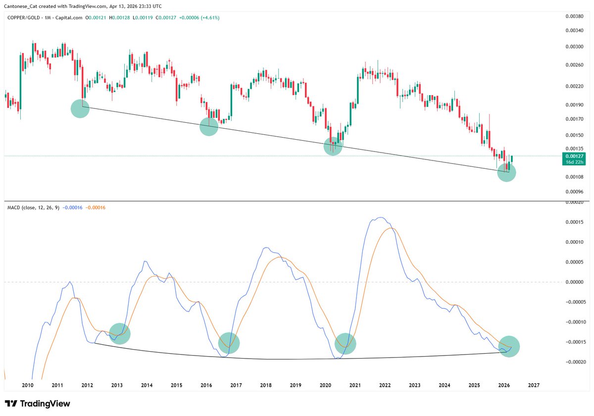 Cantonese Cat 🐱🐈 tweet media