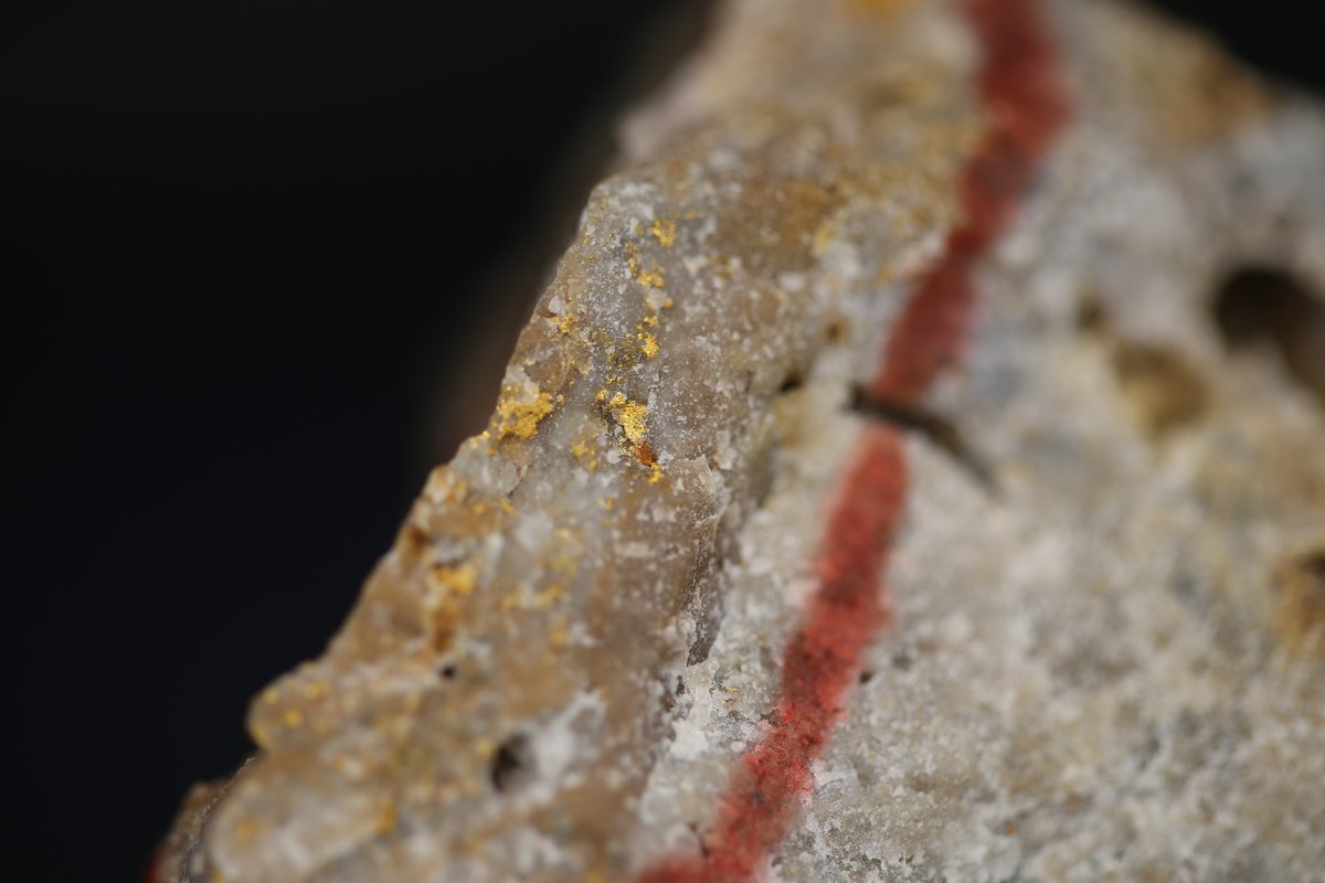 月亭ペン太 tweet media