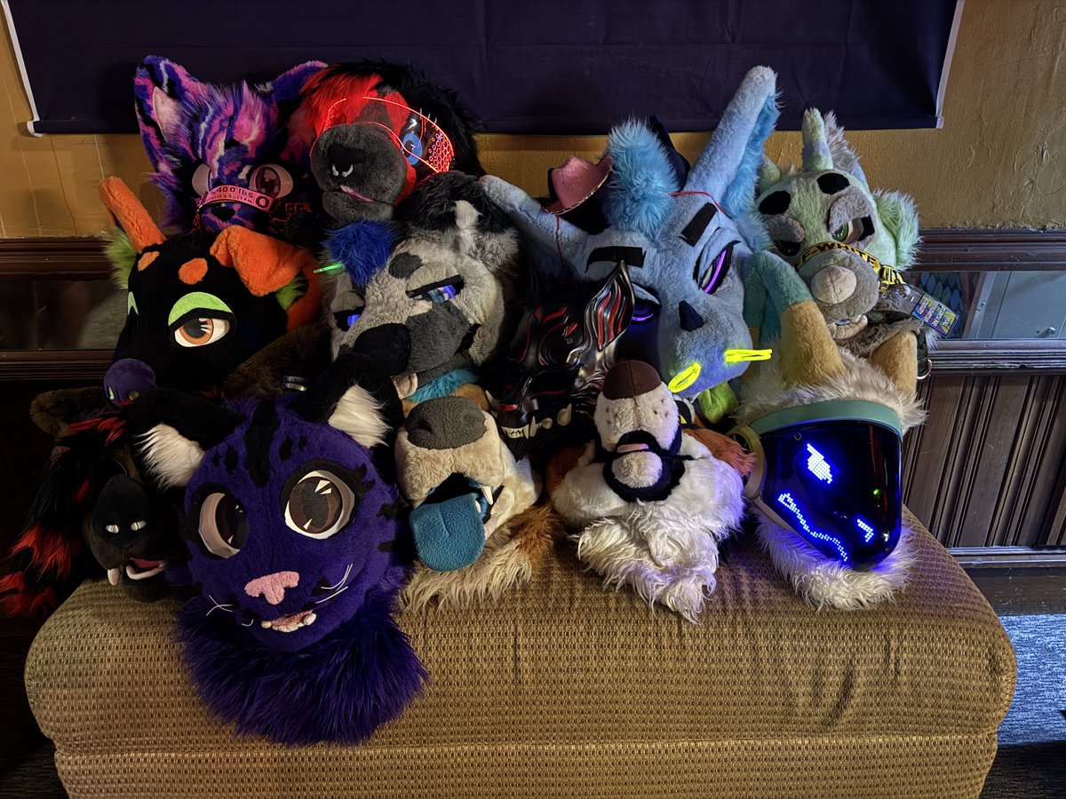 San Antonio Furry Events tweet media