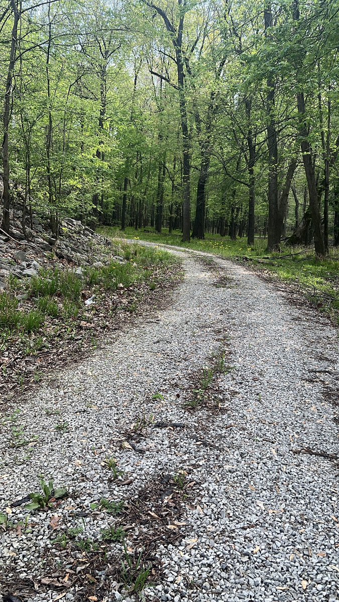 FriendshipAir's tweet photo. 100 parks. One big, beautiful journey. 

This weekend, we hit our 100th Illinois State Park at Fort Massac! What started as an idea to get outside turned into a lifetime of memories, muddy boots, and a deeper connection.
Here’s to the miles behind us and the trails yet to come! https://t.co/o87C8RLfyc