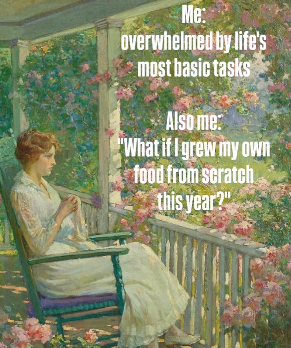 Respectful Memes tweet media