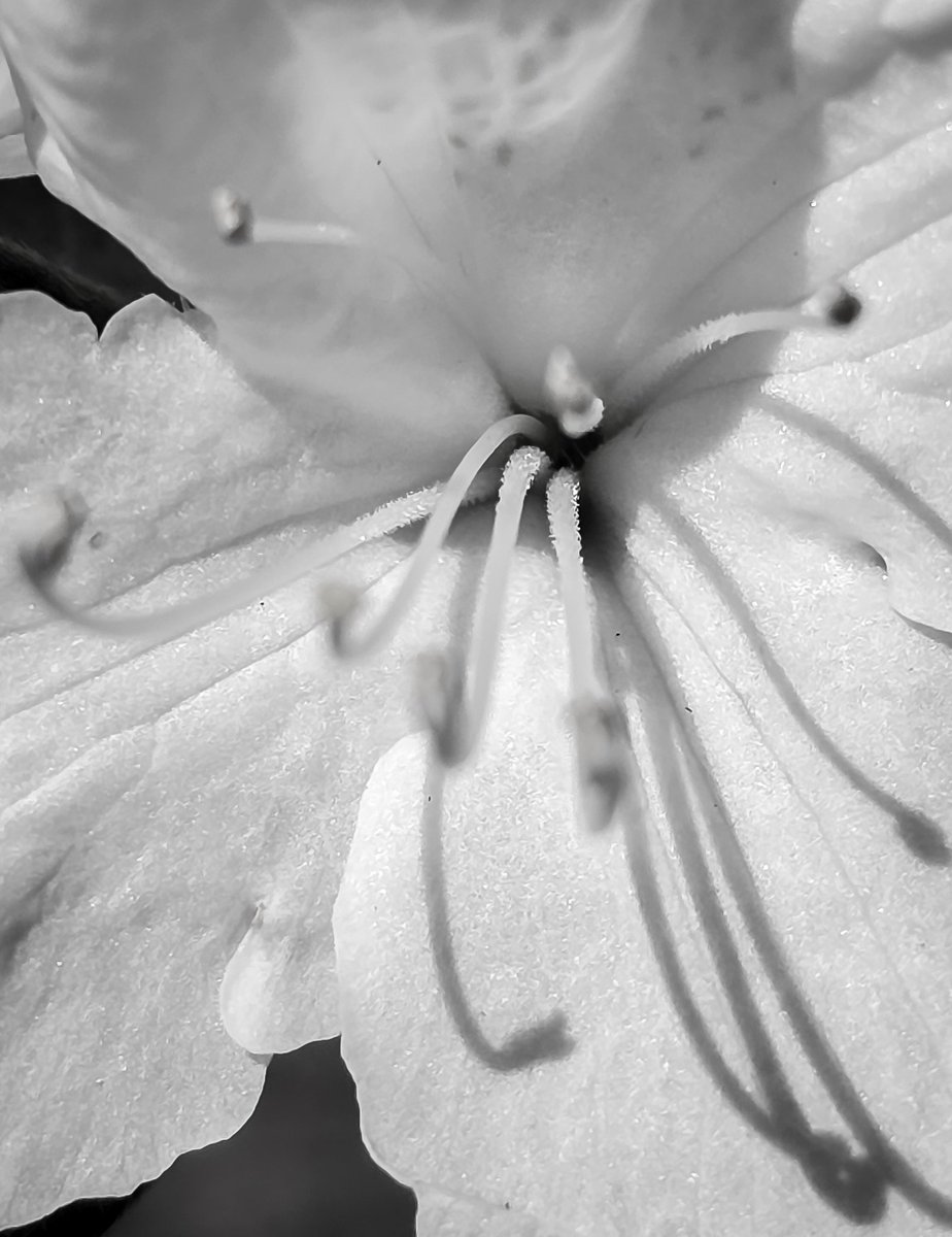 The Happy Rising Guy tweet media