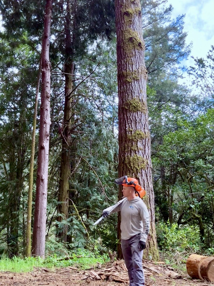 Dale Stark tweet media