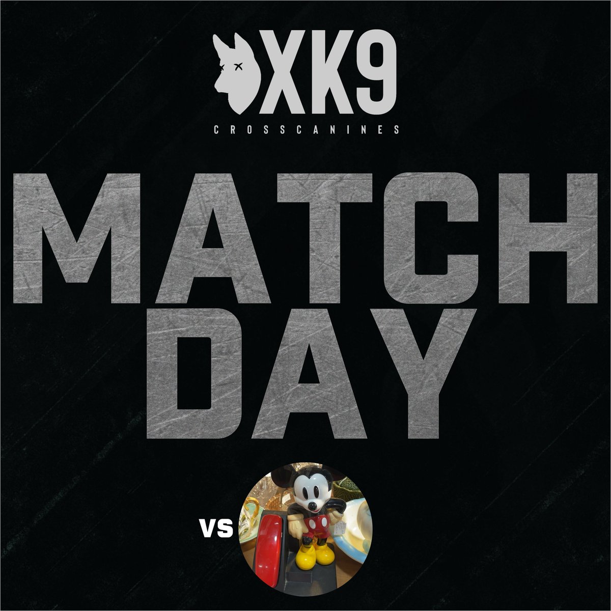crosscanines's tweet photo. GAYMEEE DAYYYY. its game day vs mousekatool.

no stream today though as pookie is not feeling well but still cheer us one https://t.co/rpMvJBiBJ5