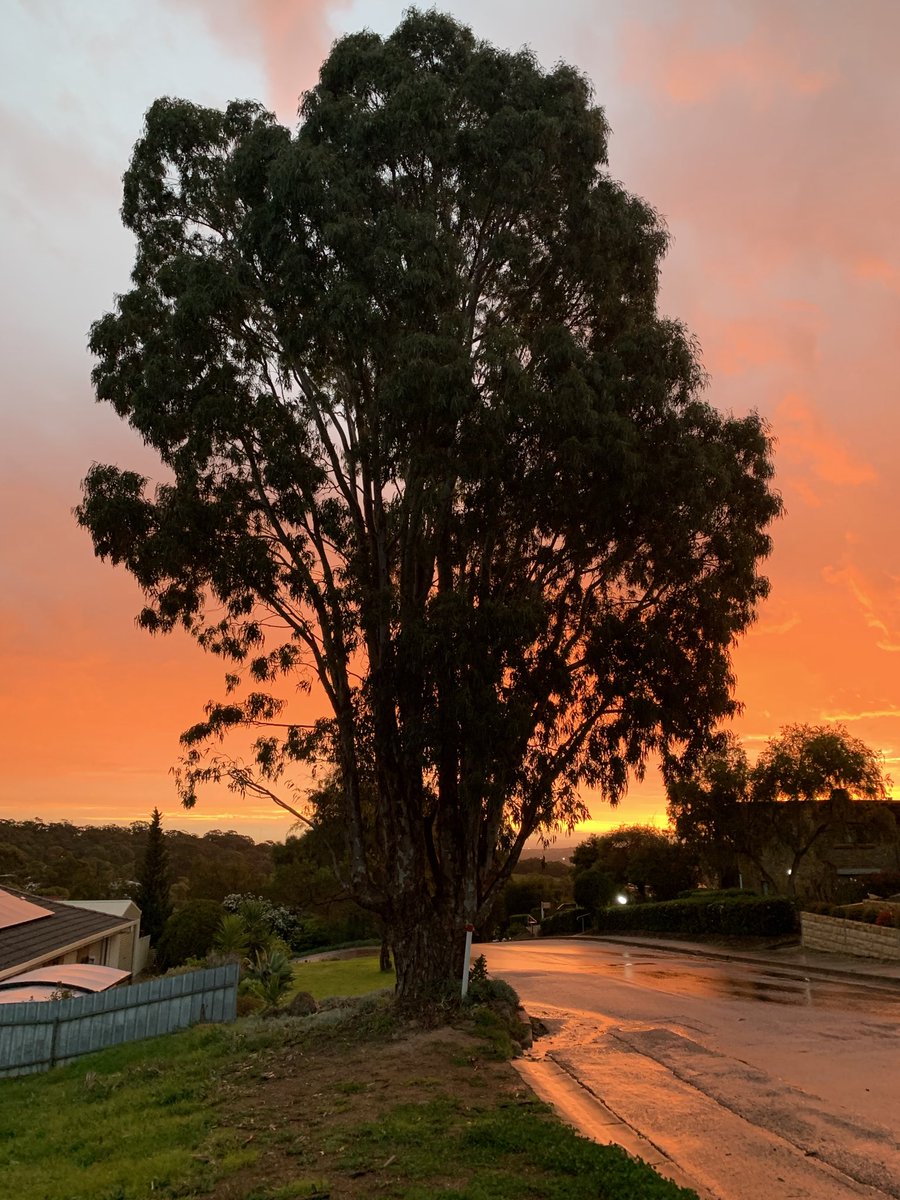 Jonathan Warren tweet media