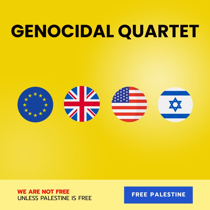 Pakistani Guy tweet media