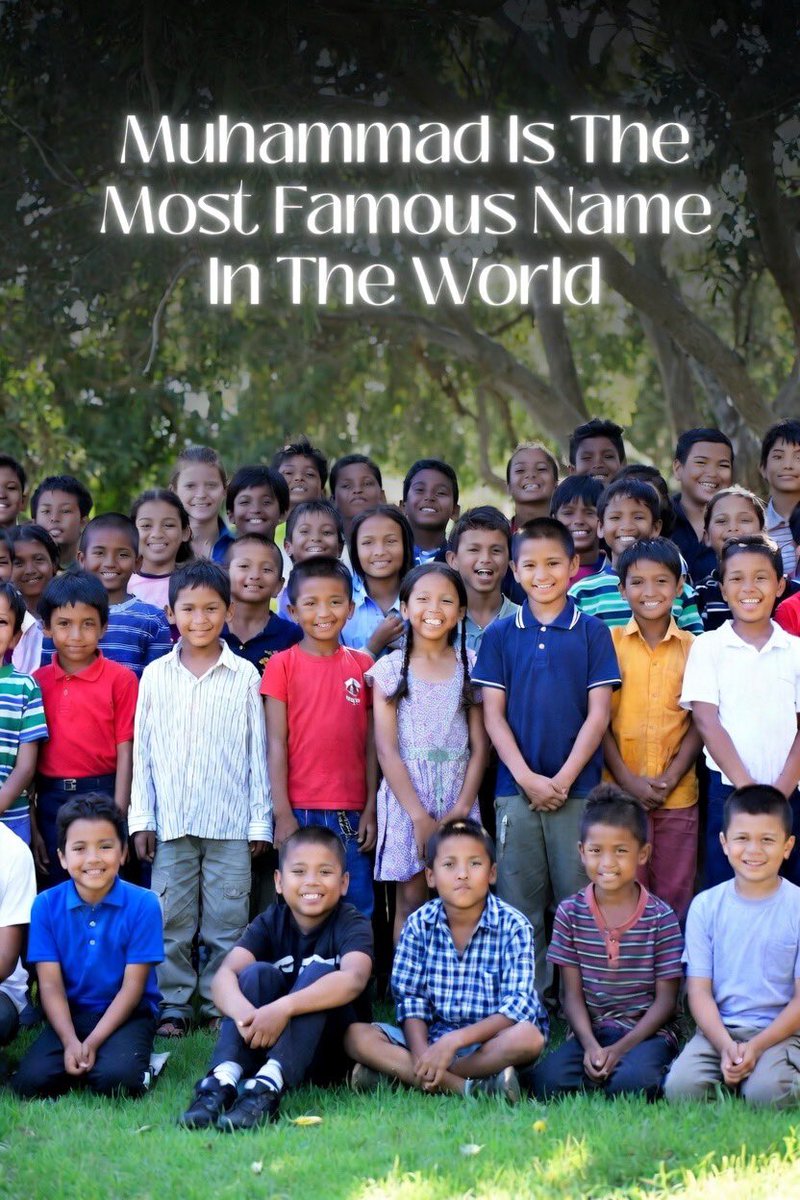 Halal Nation ☪︎ tweet media