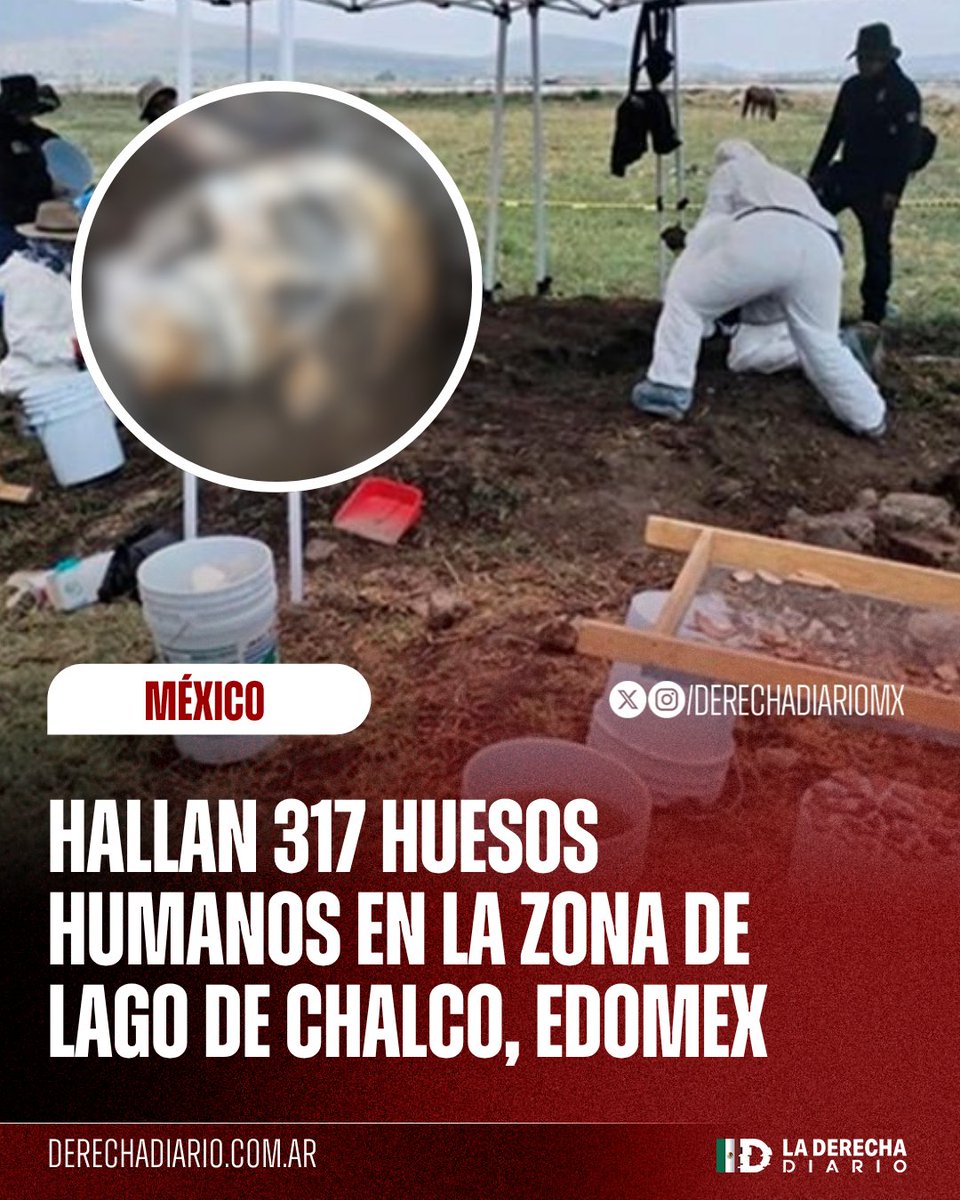 La Derecha Diario México tweet media