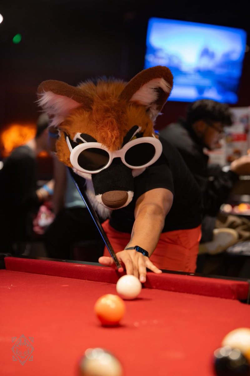 San Antonio Furry Events tweet media