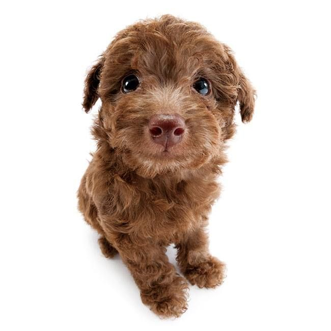 jelly jelly७ caixa mercari aberta tweet media