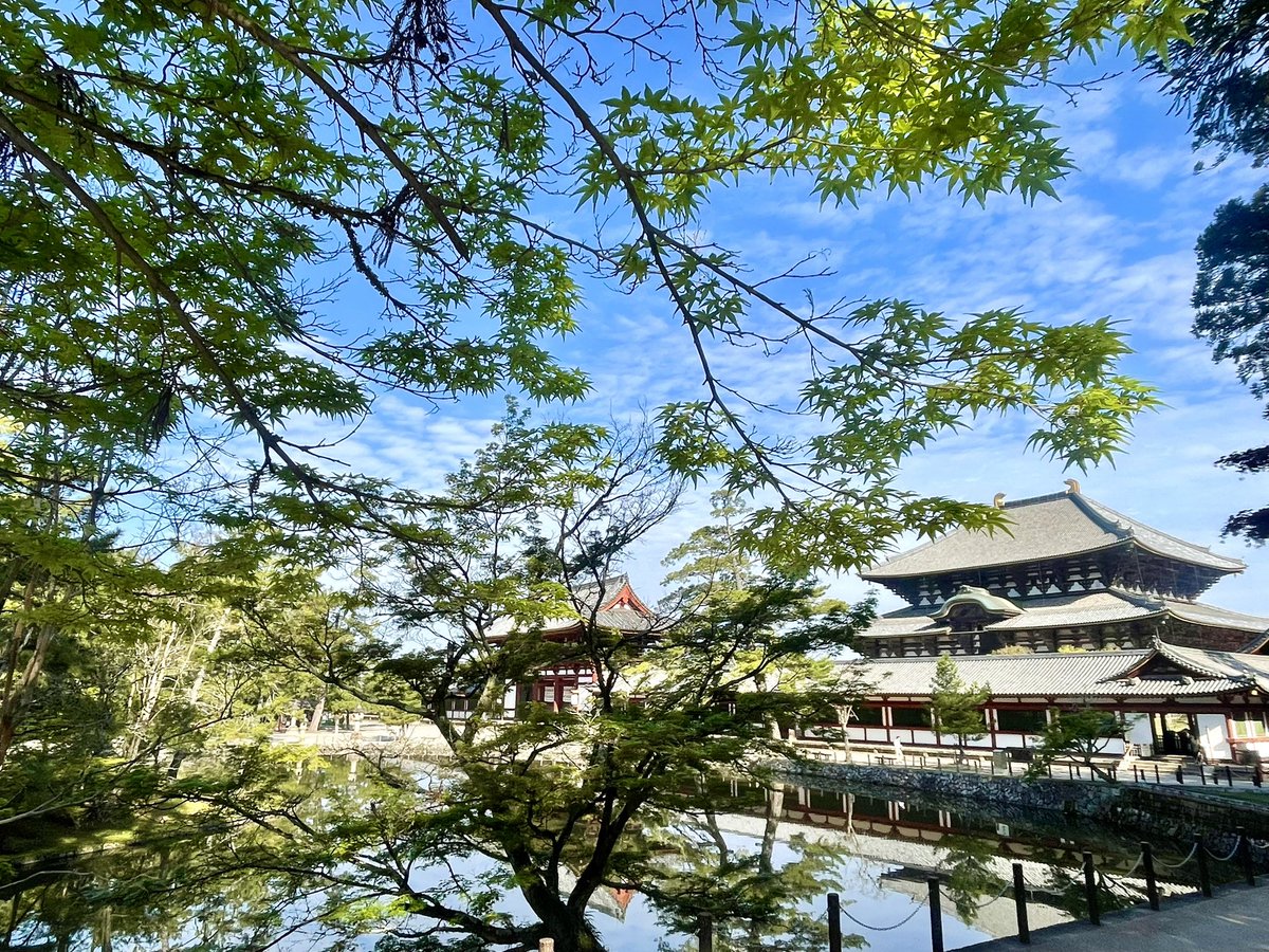 華厳宗大本山 東大寺【公式】 Tōdaiji Temple tweet media