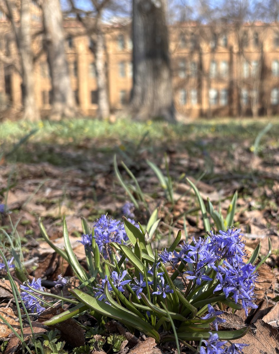 北海道大学理学部 tweet media