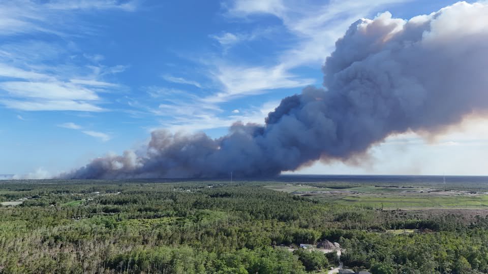 Andrew Shipotofsky tweet media