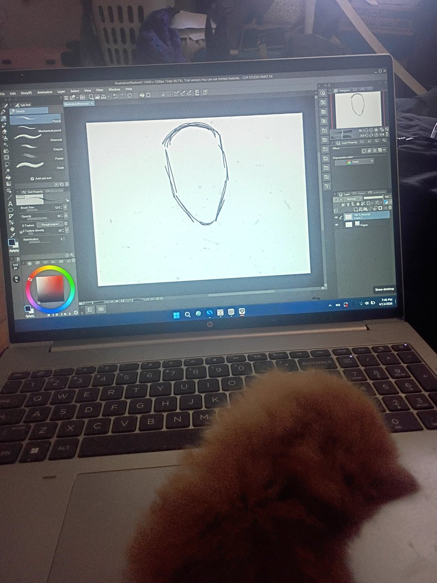LoidiTheWilv's tweet photo. The little guy is criticizing my work rn... https://t.co/kavg7QhNEw