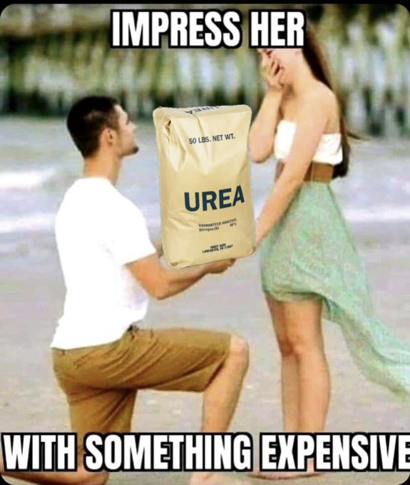 Jonathan Zettler 🇨🇦 tweet media