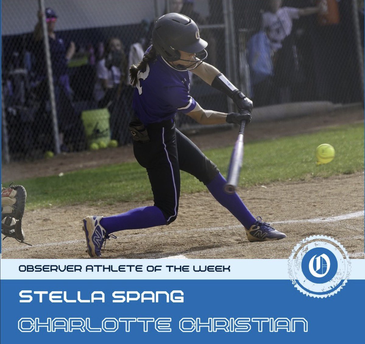 stella spang tweet media