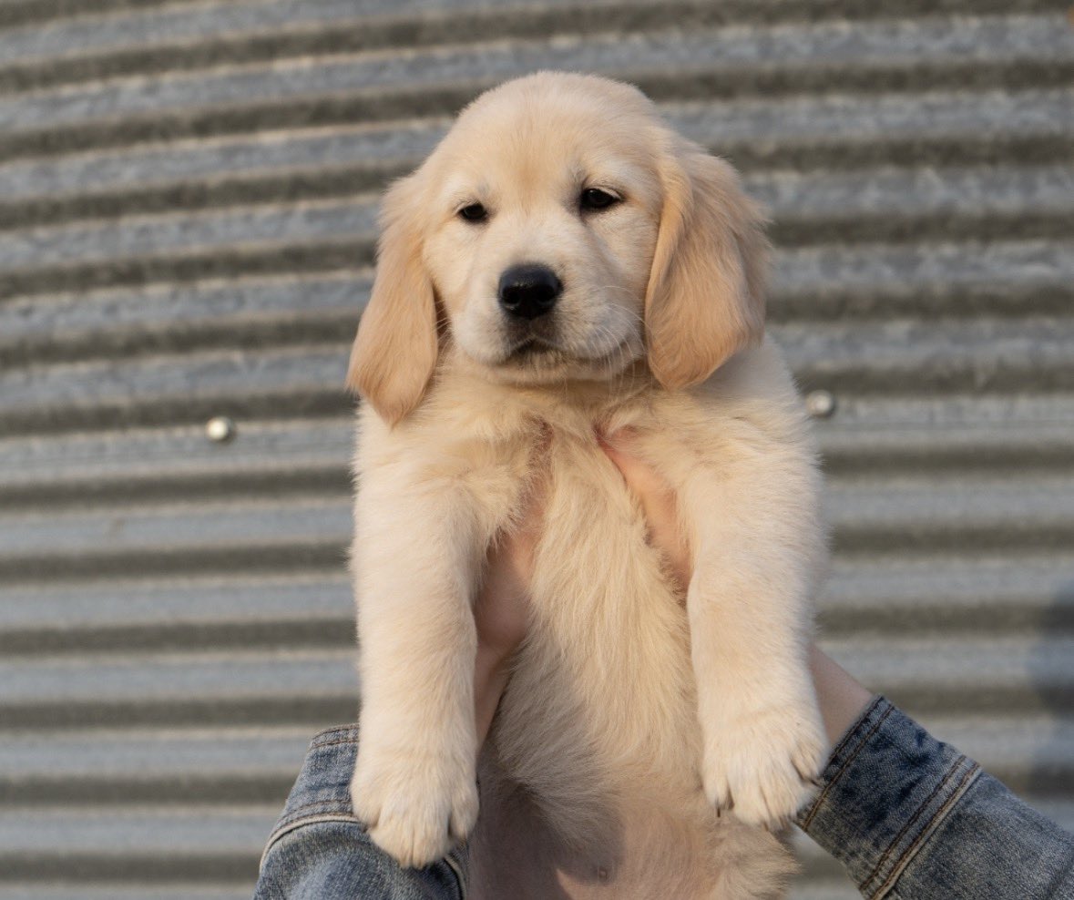 jamie 🔥 #JINHO tweet media