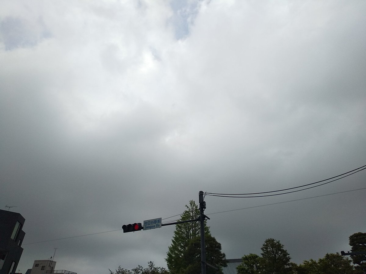 ysb_'s tweet image. 火曜日～

曇り空～

温暖～

本日も楽しくなりそうれす～

20260414～

 #世田谷 #世田谷区 #setagaya