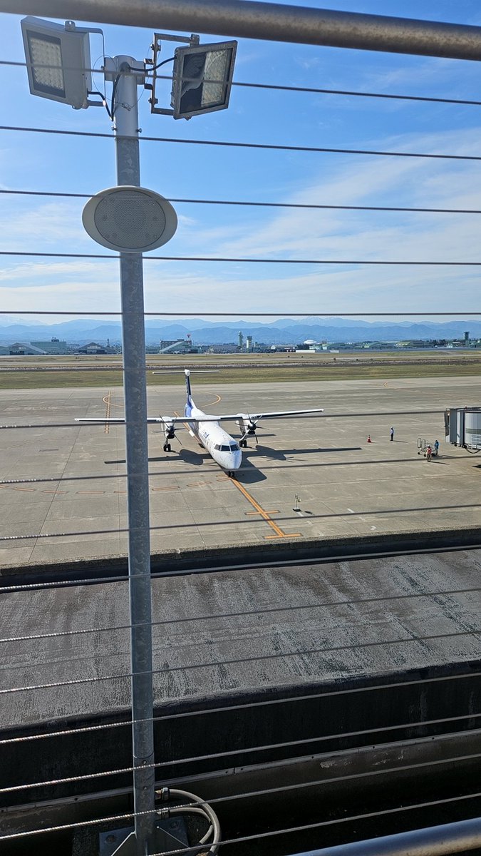 サーカスのくまさん🎪🧟‍♀️서커스곰 tweet media