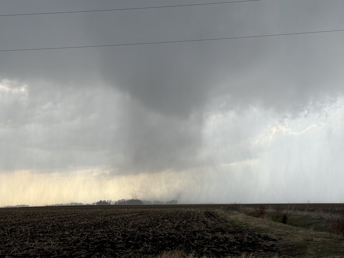 Alex Fanning tweet media