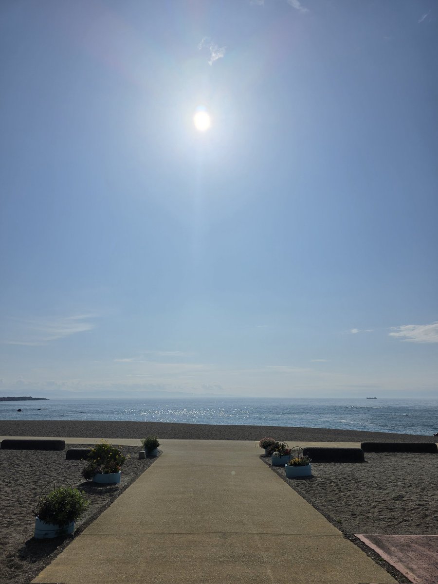 桂浜水族館 公式 tweet media