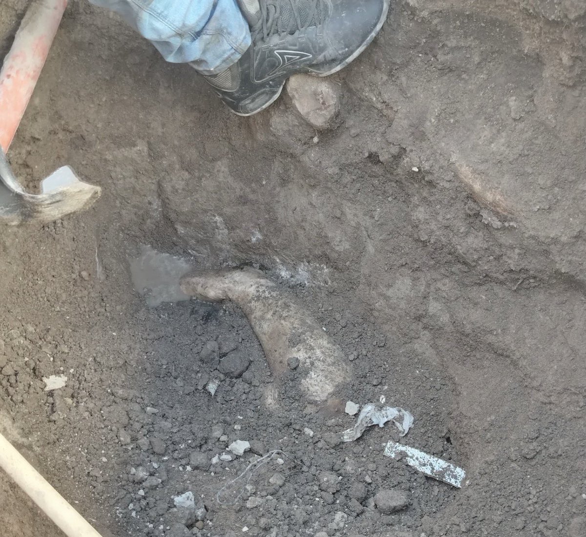 PEDRO FERRIZ tweet media