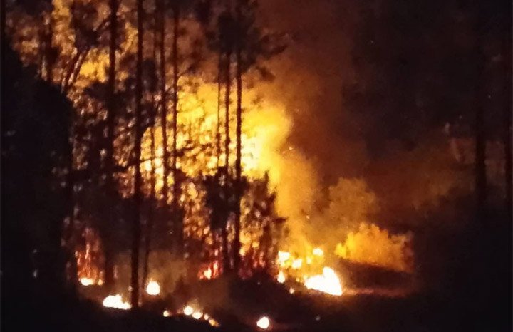 👩🏻‍🚒🧯| Unas 350 hectáreas de bosque han sido afectadas hasta el momento por el incendio de muy grandes proporciones activo en la zona montañosa La Lanza, en el municipio pinareño de Minas de Matahambre.