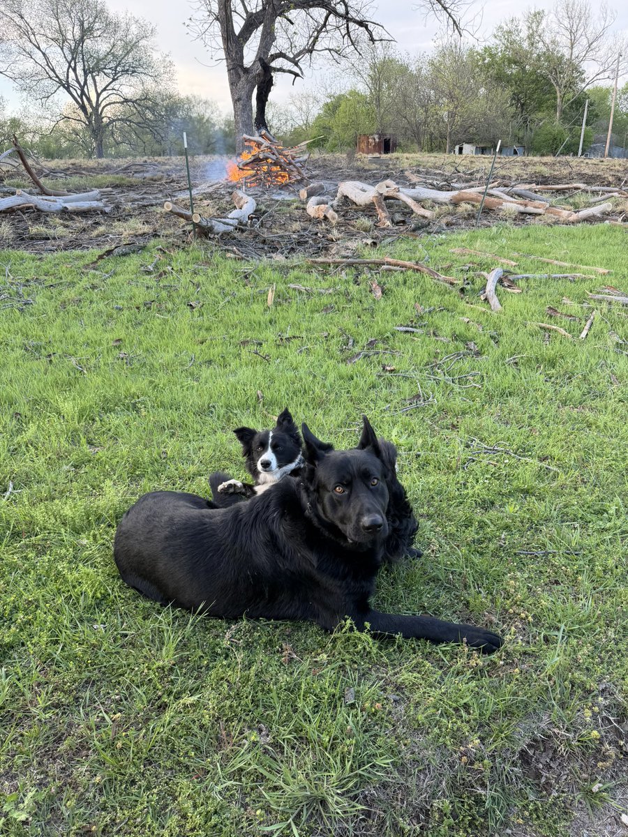 Tyler Wheat tweet media