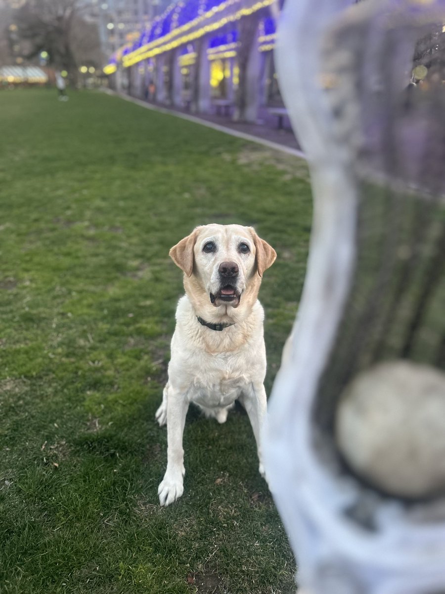 ByrneCrimson's tweet image. Monday Level Focus from Cliff.

#REPS