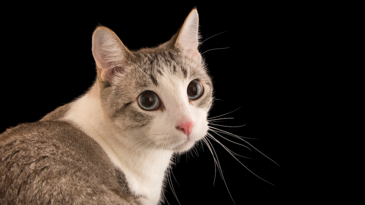 Simon_UG🤗 tweet media