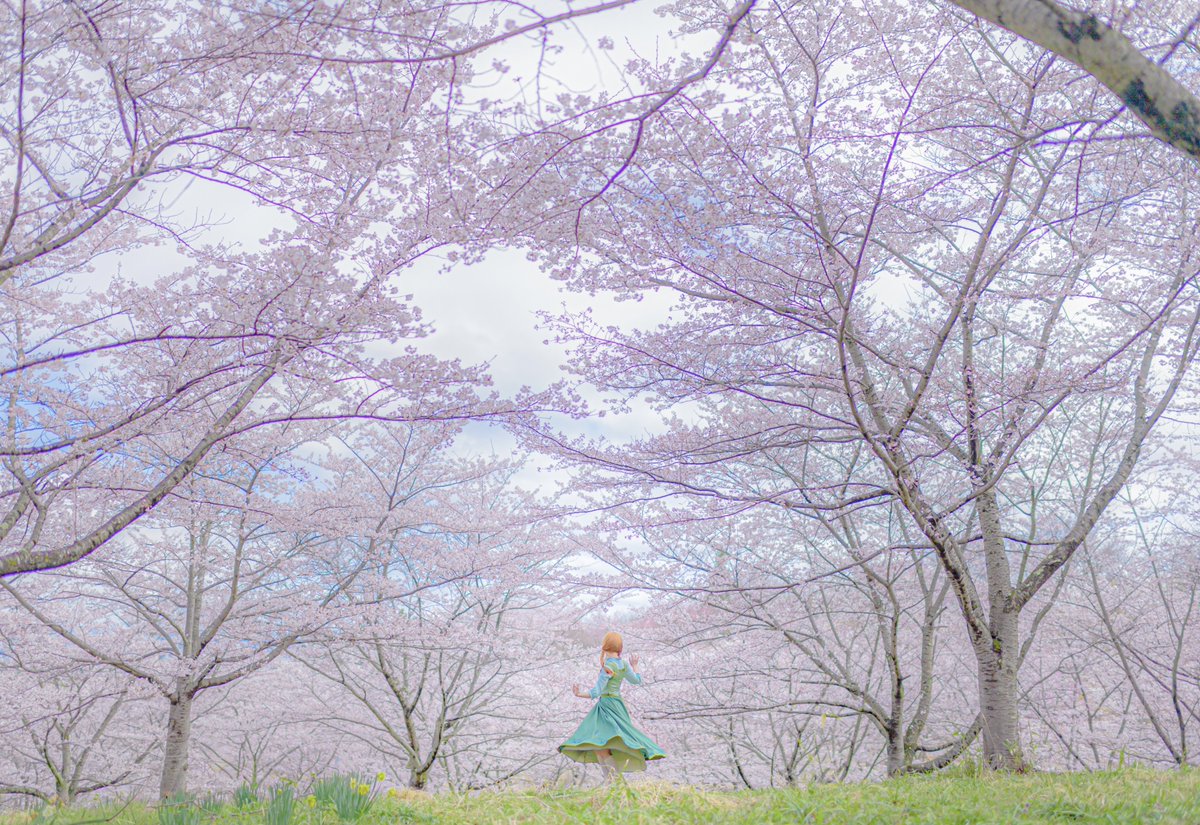 ねんねこ🌻お迎え中 tweet media