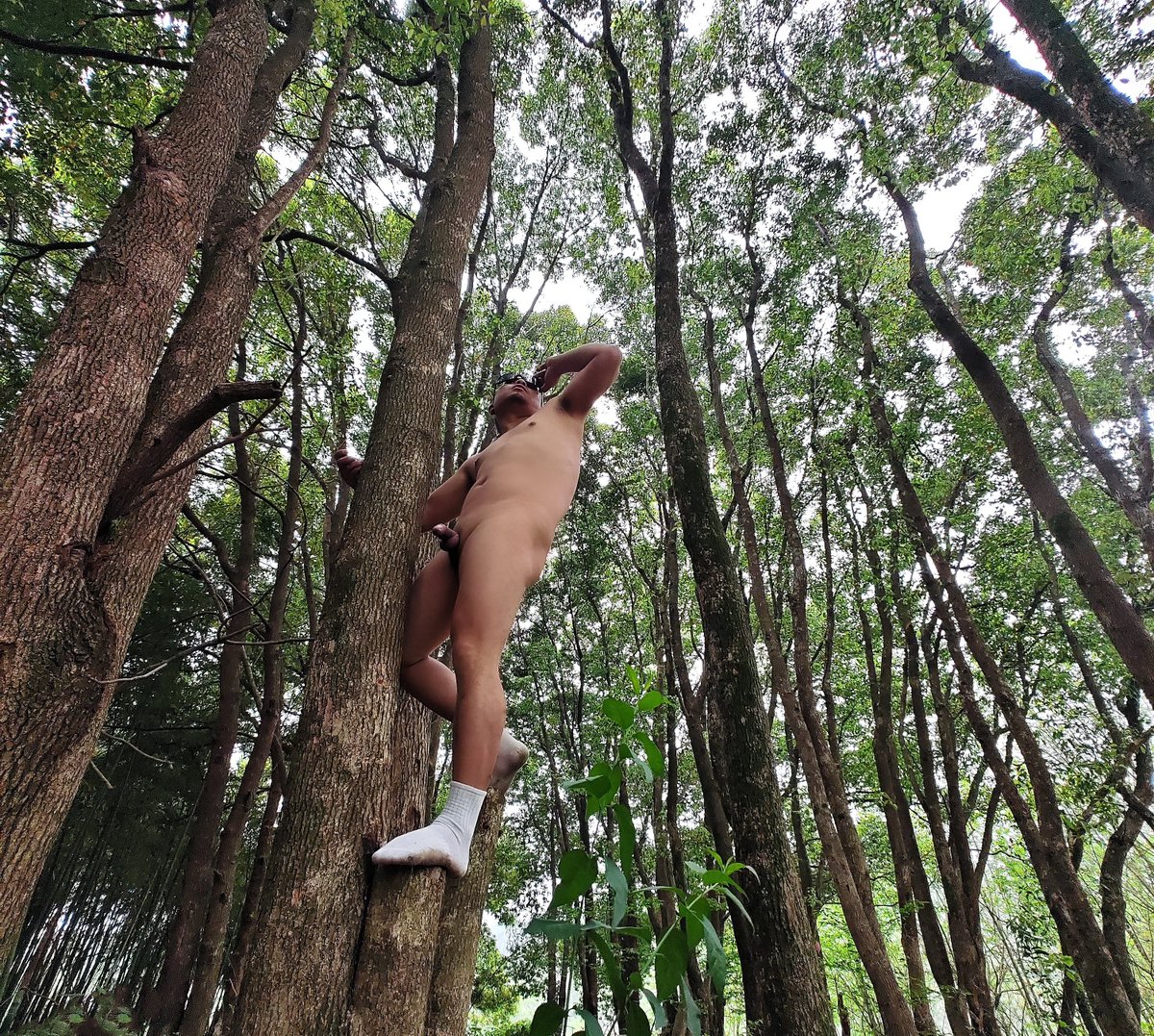 林深不知处但有一裸男