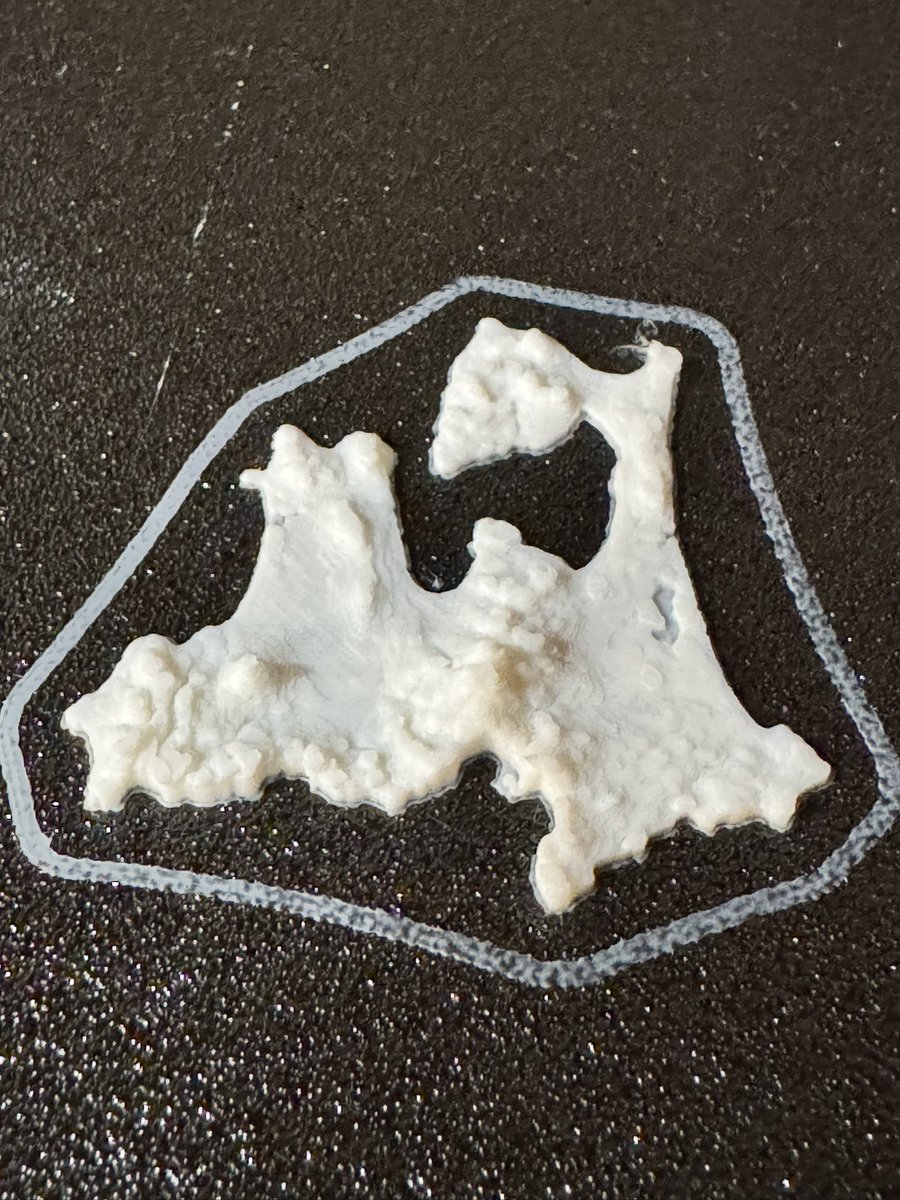 たね🍣 tweet media