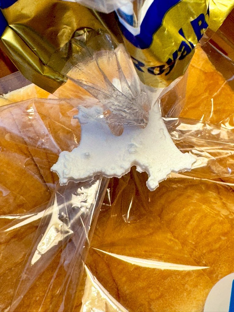 たね🍣 tweet media