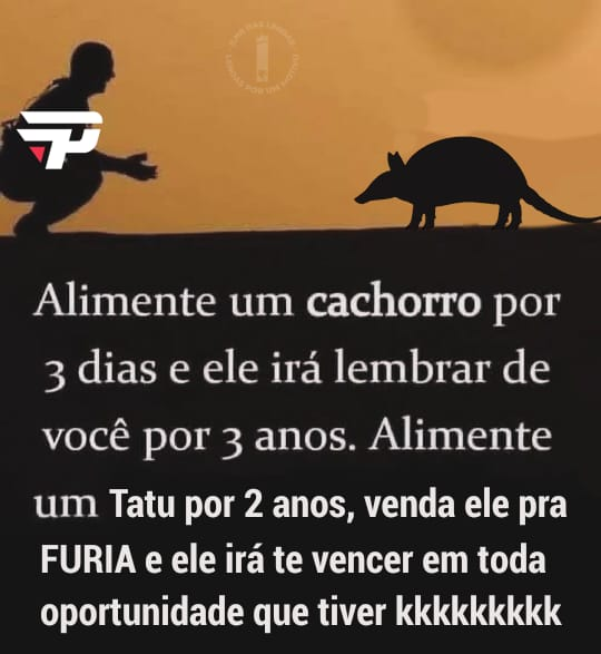 Ilha das Lendas 🏝️ tweet media