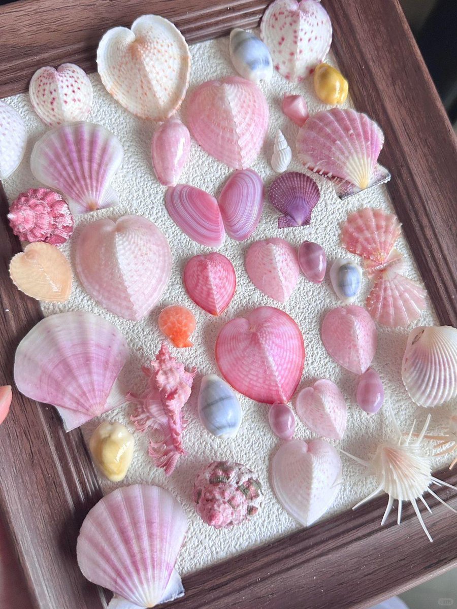 only cute things (@cutedreamvibes) on Twitter photo 