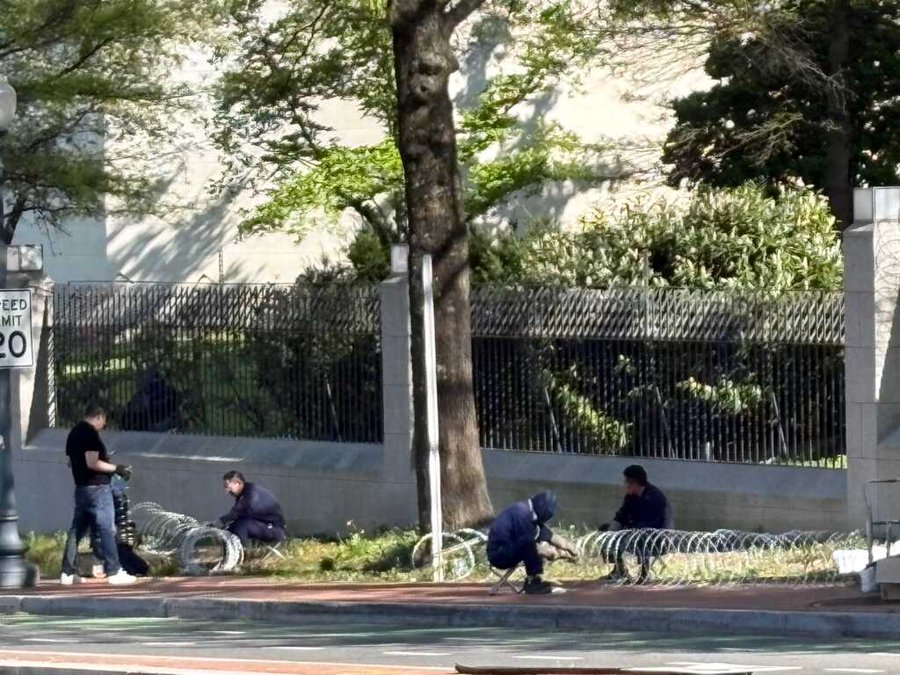 The General tweet media