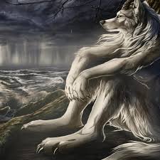 Zumi 🆘 tweet media