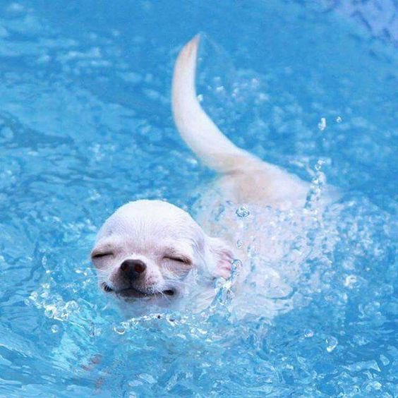 즐거운 하루~~~^^